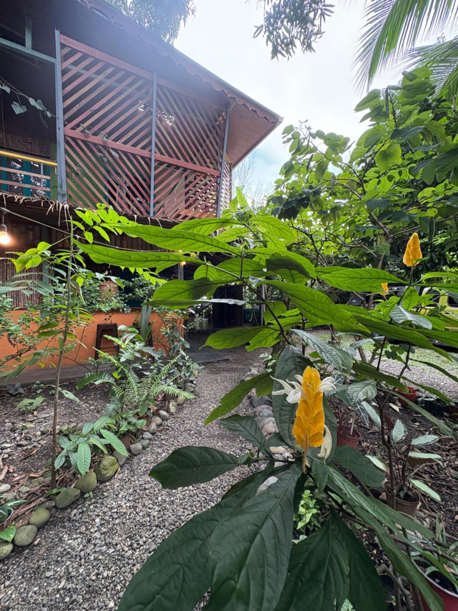 Hotel Organico Punta Riel à Cahuita Extérieur photo